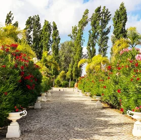 Hotel Rural Quinta do Pinheiro - Alcobaça Nazaré