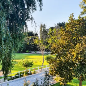 Hotel Rural Quinta do Pinheiro - Alcobaça Nazaré